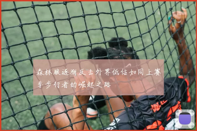 森林狼逐渐反击外界低估如同上赛季步行者的崛起之路