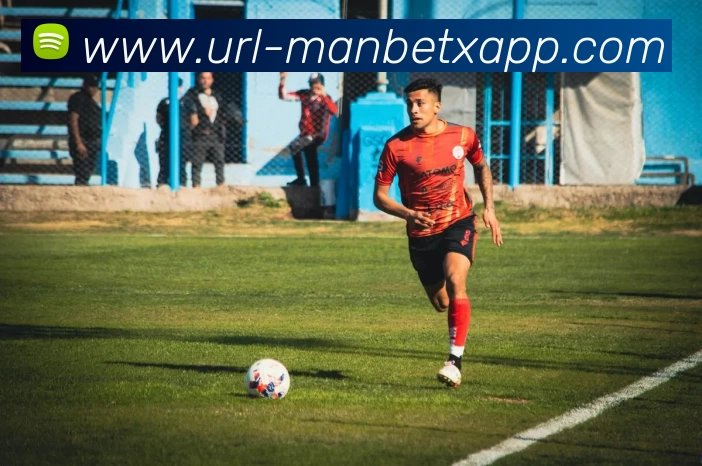 米博体育平台生态图