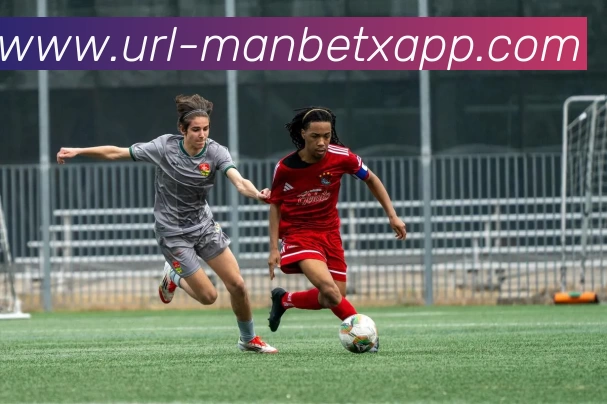 米博体育APP 封面图